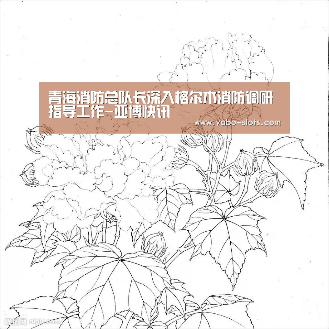 青海消防总队长深入格尔木消防调研指导工作-亚博快讯(图1) 亚博下载