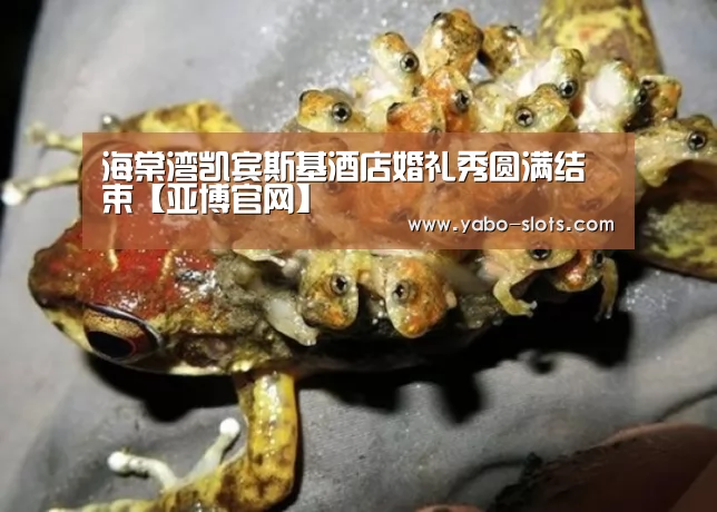 亚博下载