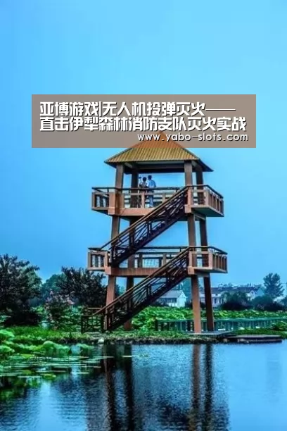 亚博游戏|无人机投弹灭火——直击伊犁森林消防支队灭火实战演练(图1) 亚博下载